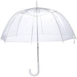 Parapluie-Transparent.jpg